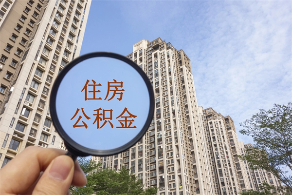 石河子在职期间公积金能取出来吗（在职期间公积金可以取吗）